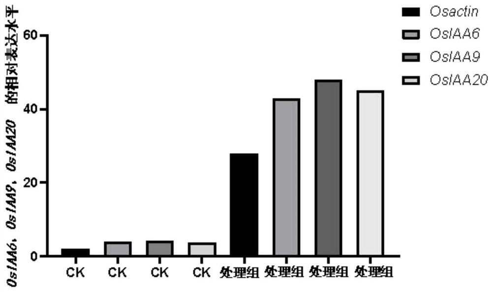 Microbial metabolite microbial agent for promoting plant growth, and preparation method and application thereof