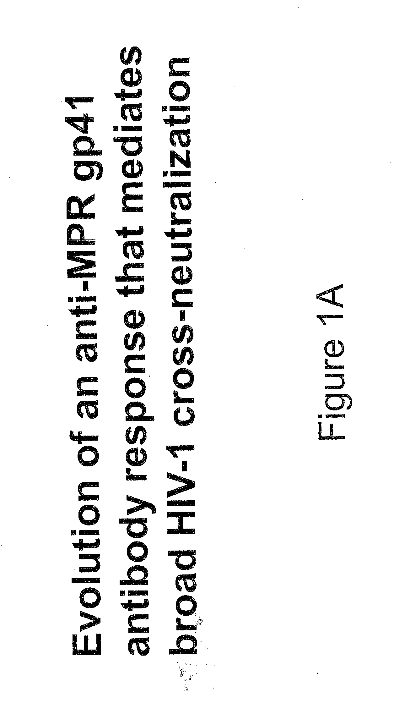 Hiv-1 antibodies