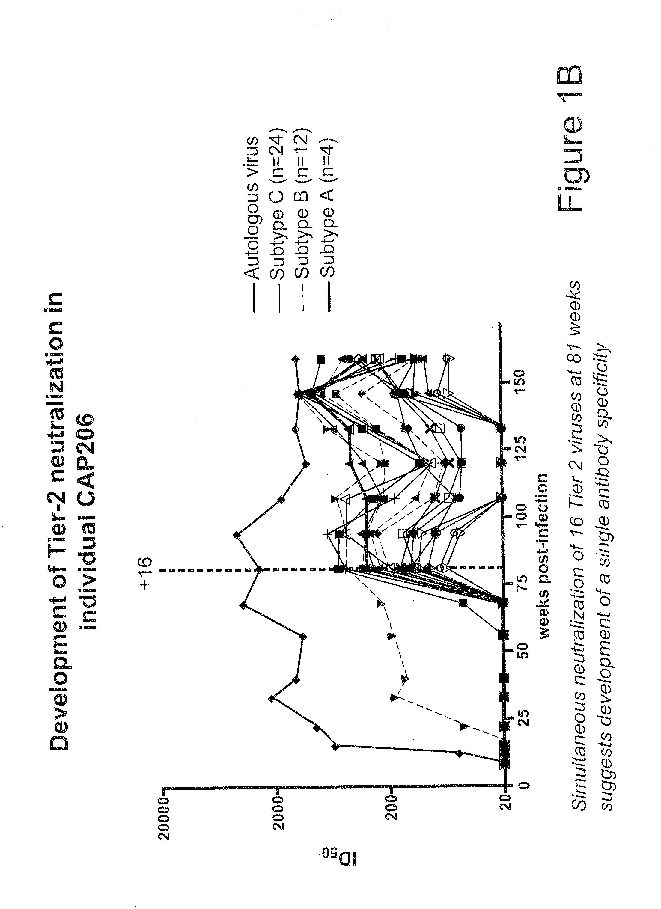 Hiv-1 antibodies