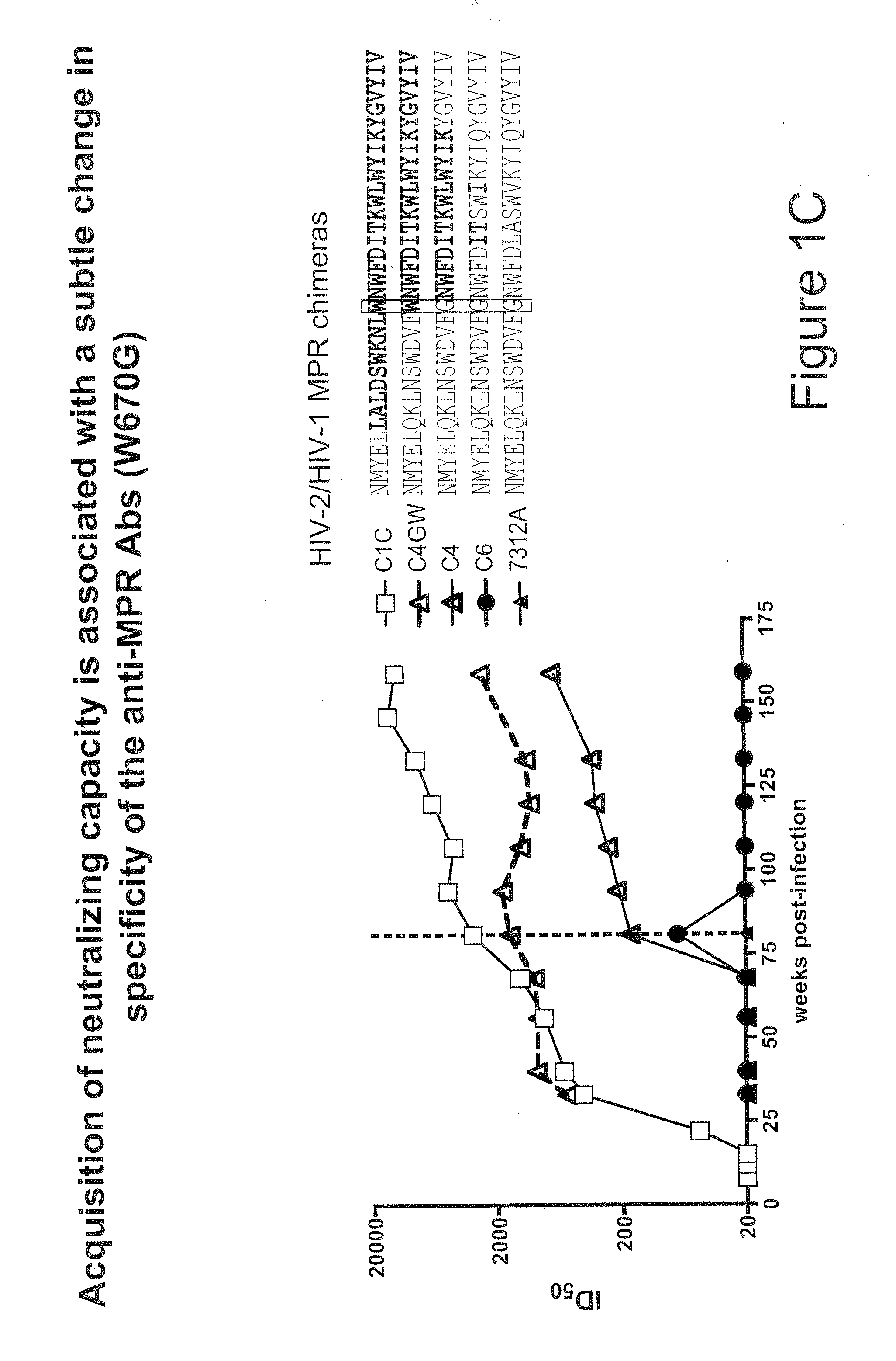 Hiv-1 antibodies