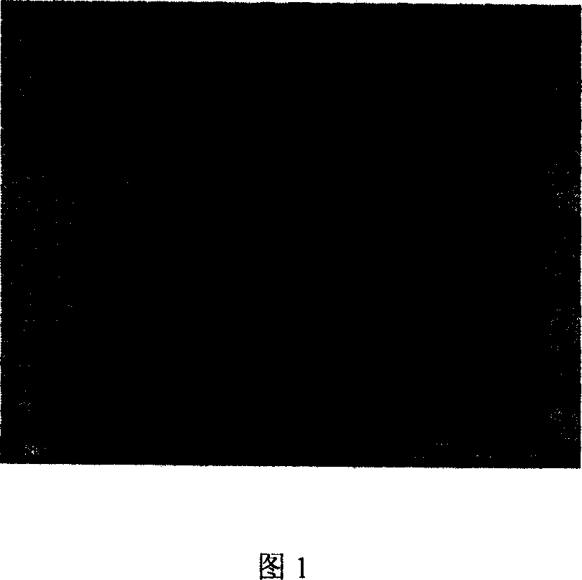 High obstructive polyaniline composite film and its preparation method and use