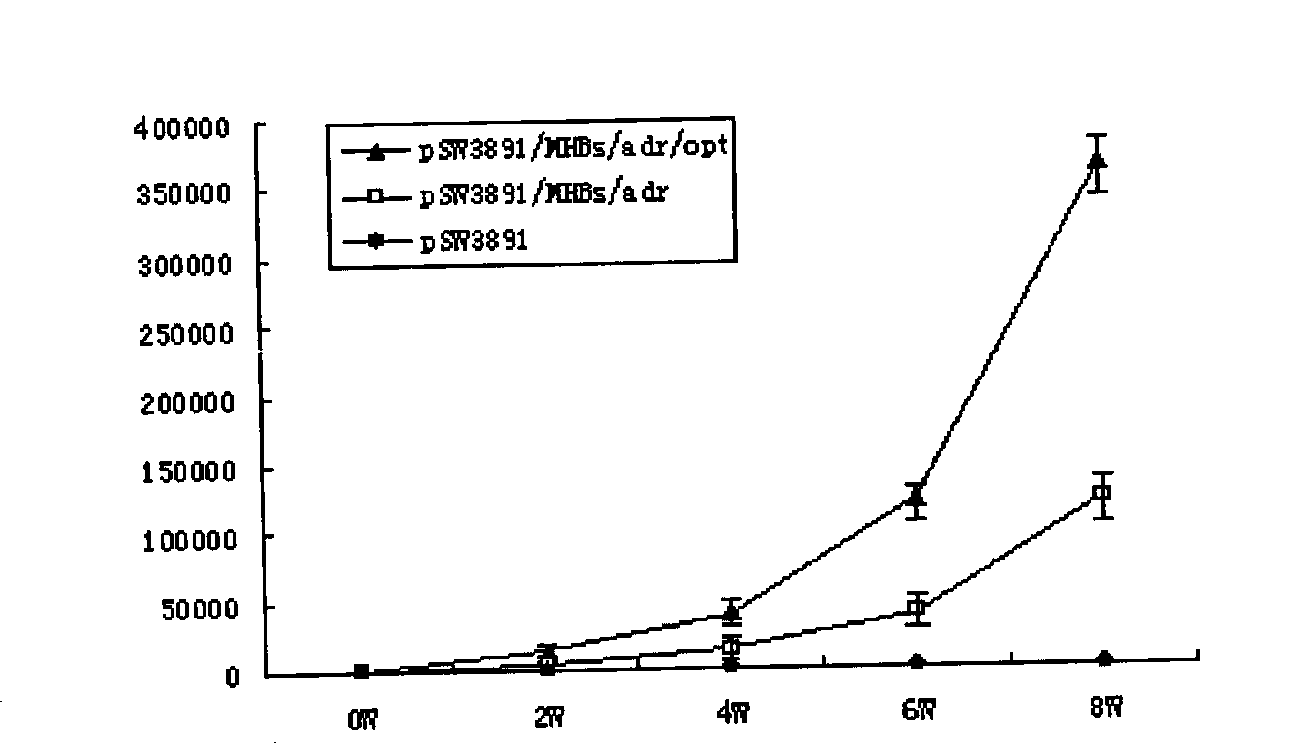 Hepatitis B nucleic acid vaccine with optimized codon