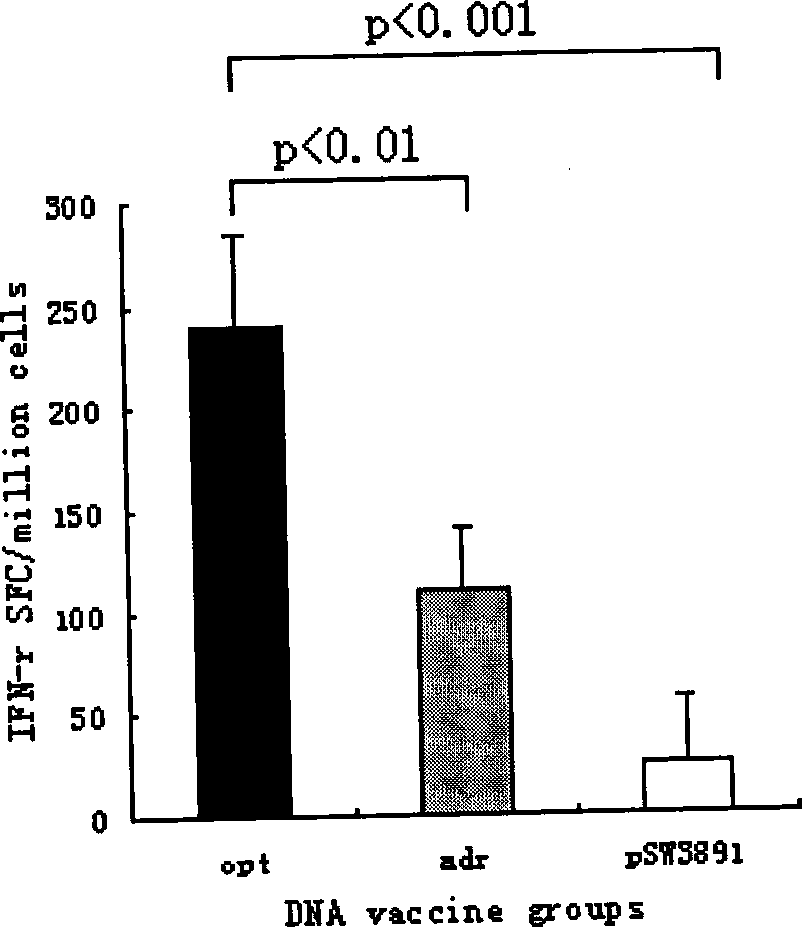 Hepatitis B nucleic acid vaccine with optimized codon