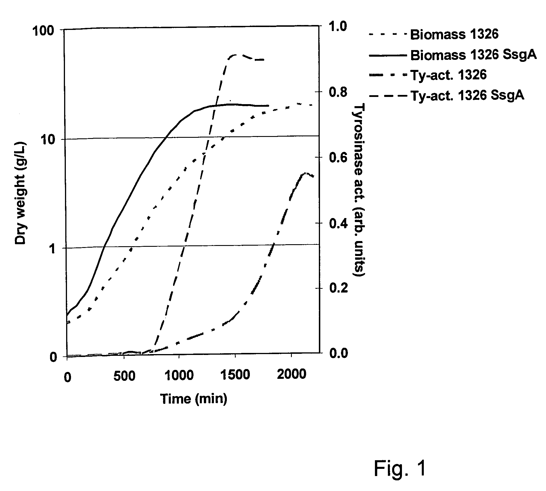 Growth characteristics of filamentous microorganisms