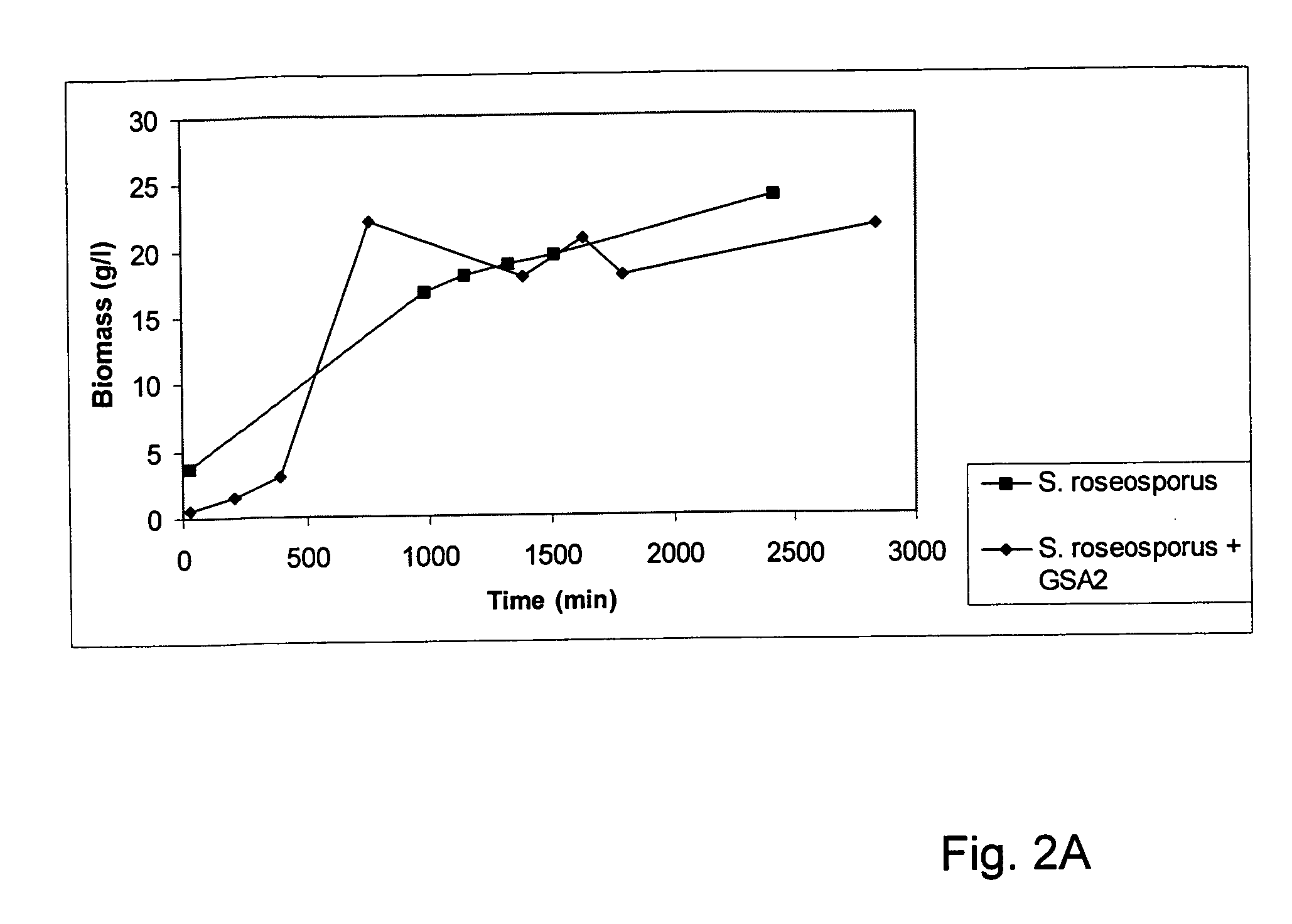 Growth characteristics of filamentous microorganisms