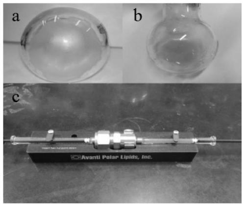 Fluorescence resonance energy transfer system based on up-conversion nano material and sibo green and used for detecting phospholipase A2 in serum