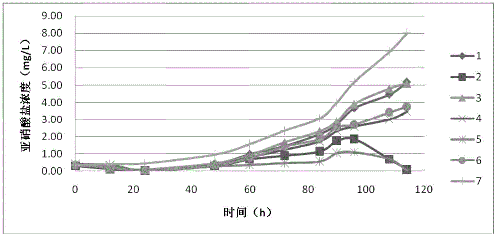 Compound bacterium and application thereof