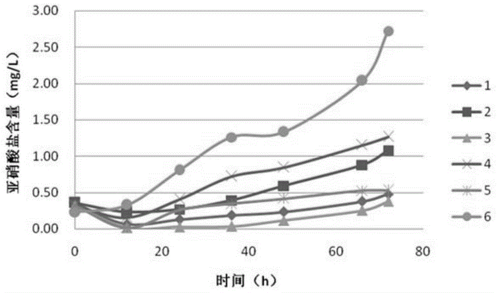 Compound bacterium and application thereof