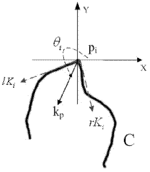 Contour-based local invariant region detection method