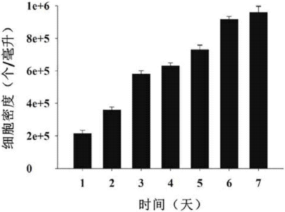 A kit for marine mollusk primary cell separation and culture and uses thereof