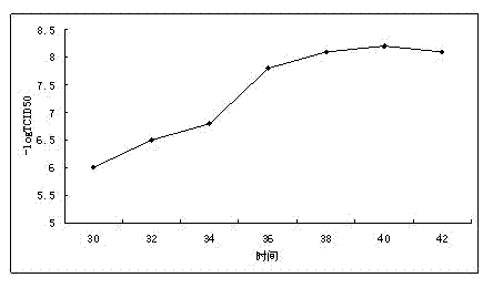 Method for preparing duck hemorrhagic ovaritis inactivated vaccines