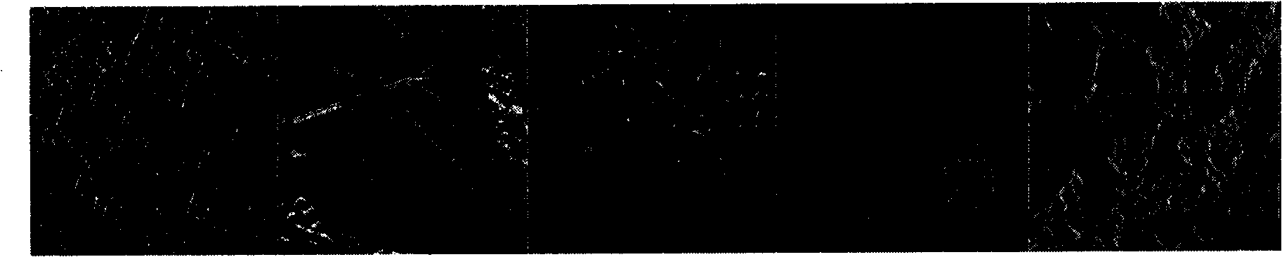 Search method of SAR images classified based on Gauss hybrid model