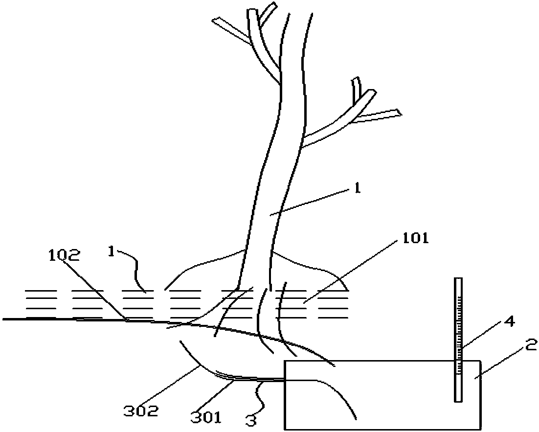 Water control and fruit cracking prevention apparatus for fruit trees and working method thereof