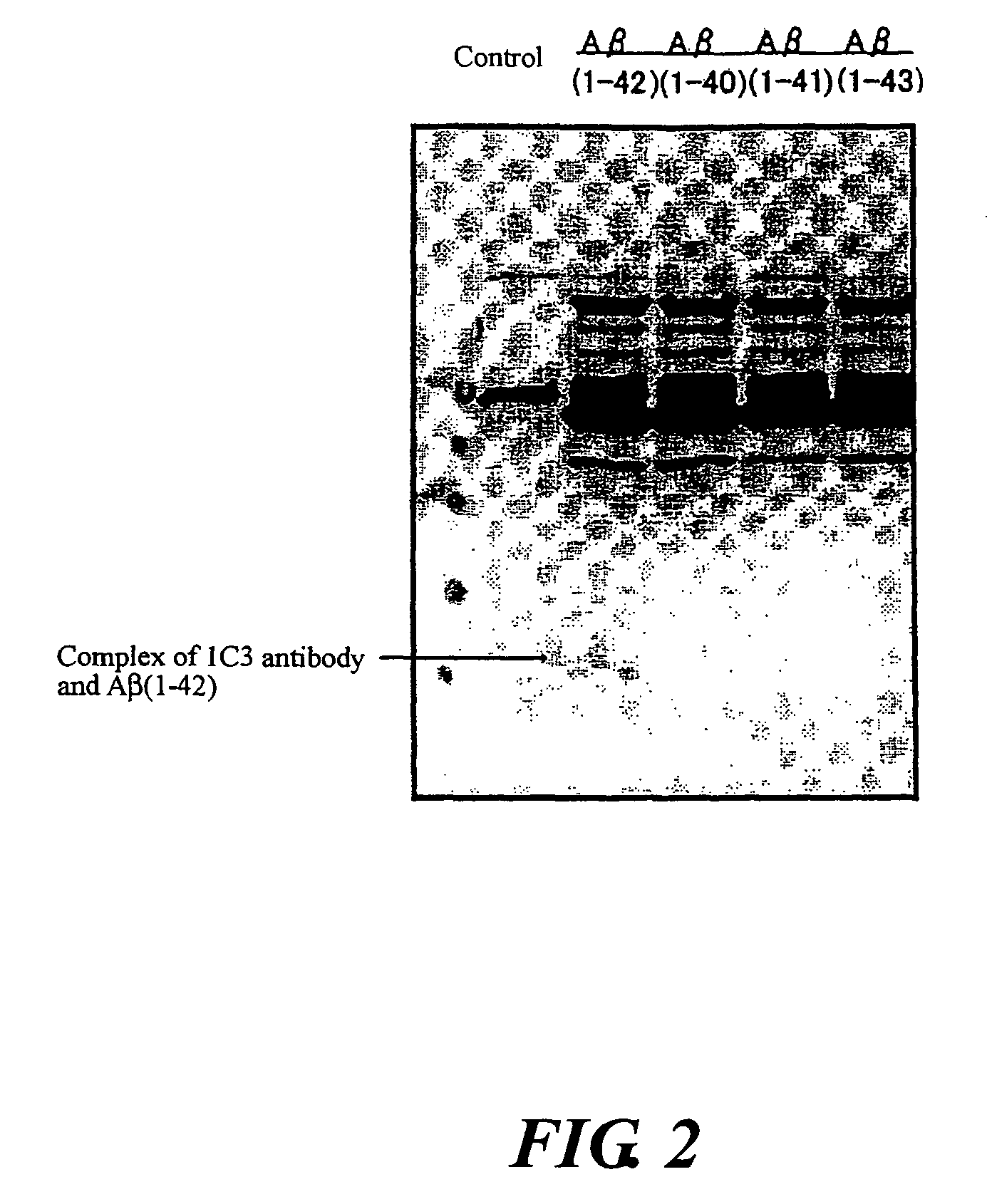 Monoclonal antibodies and use thereof