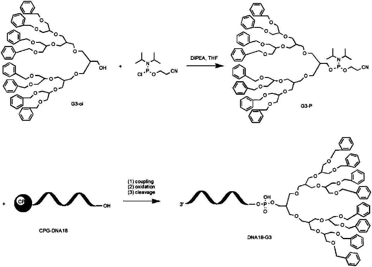 Supramolecular assembly and preparation method and morphological control method thereof