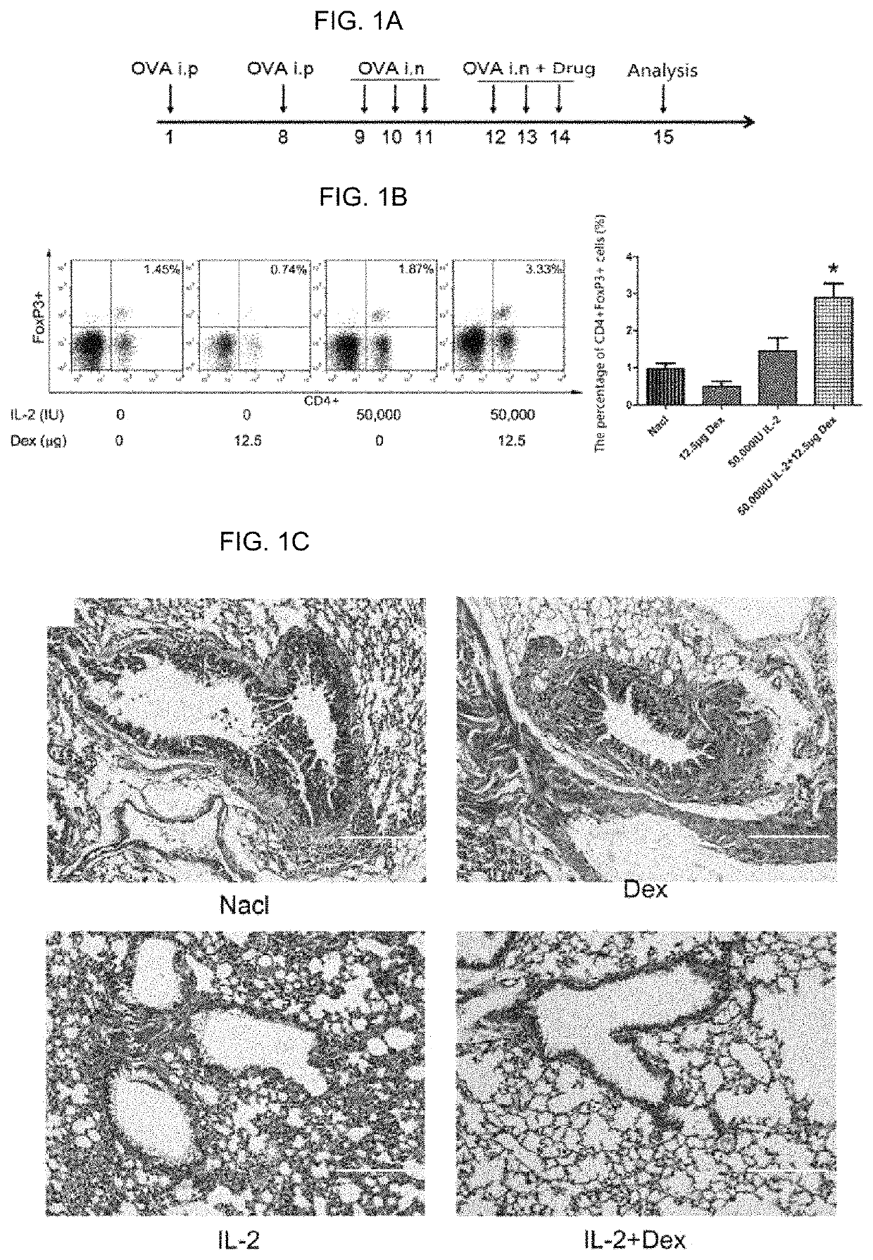 Glucocorticoid combined with polyethylene glycol-modified interleukin 2 for treating respiratory disease