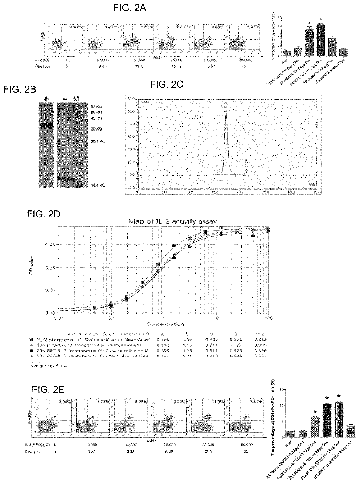 Glucocorticoid combined with polyethylene glycol-modified interleukin 2 for treating respiratory disease