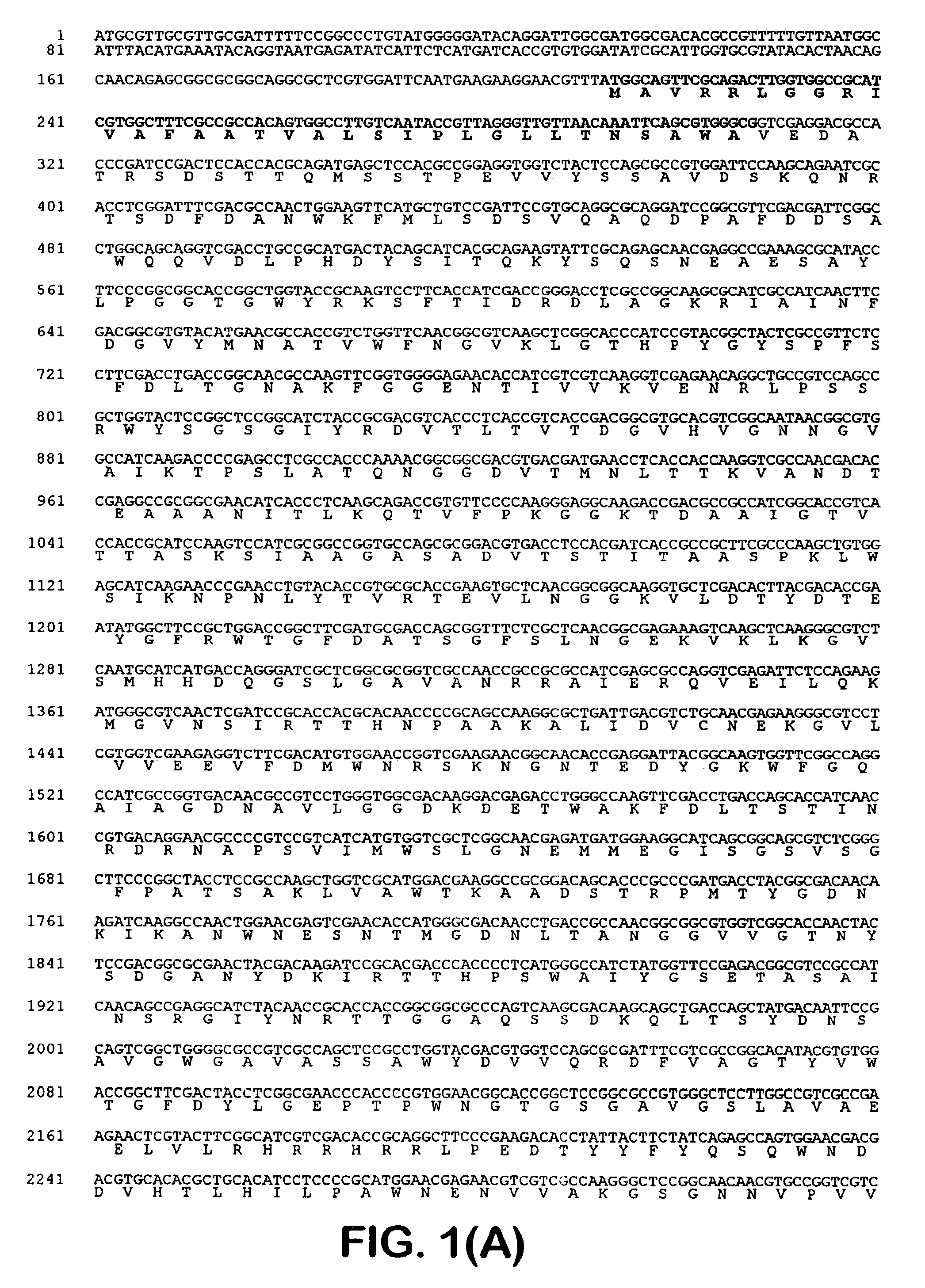 Enzyme isolated from a <i>Bifidobacterium </i>