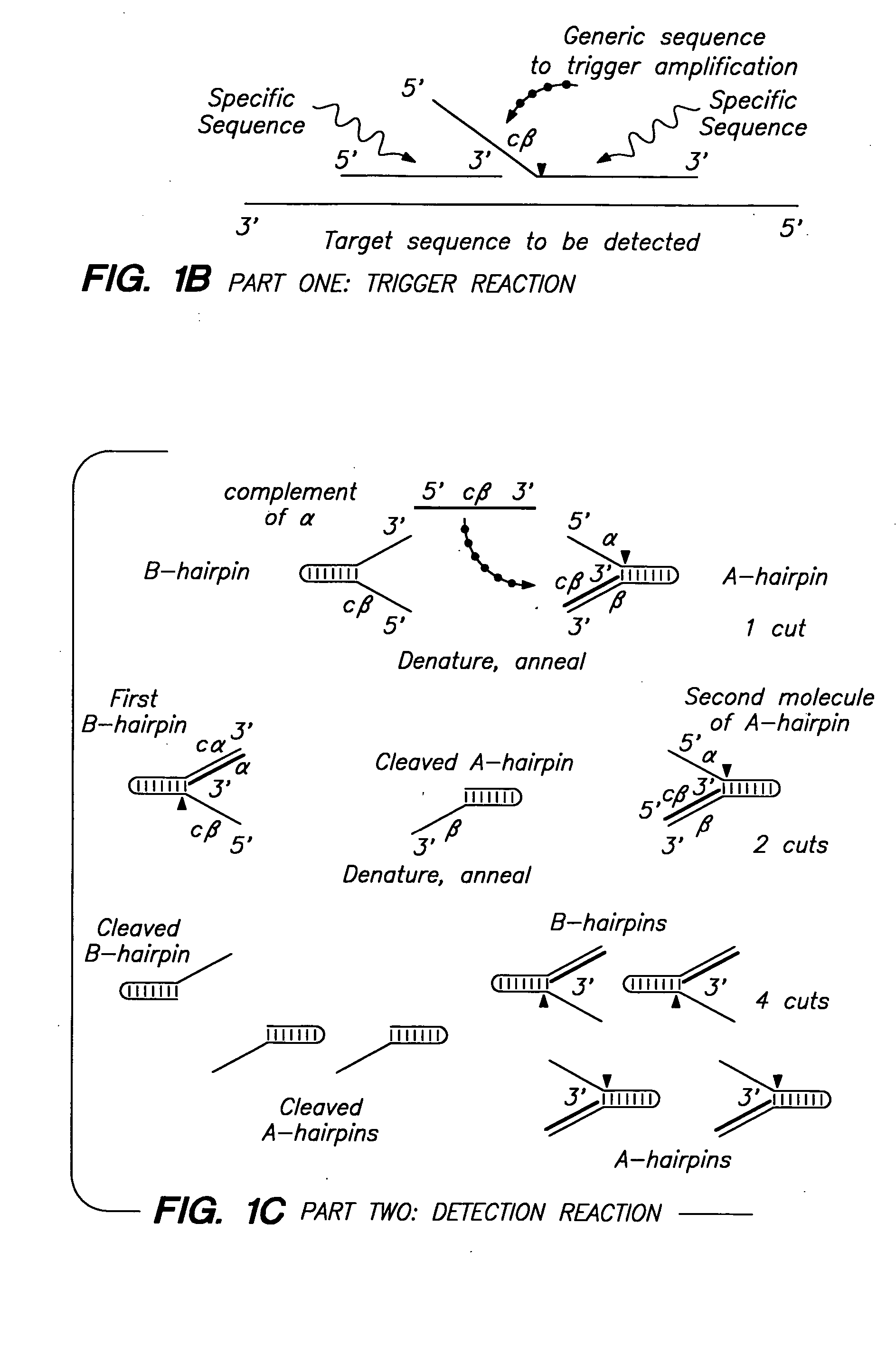 Nucleic acid detection kits