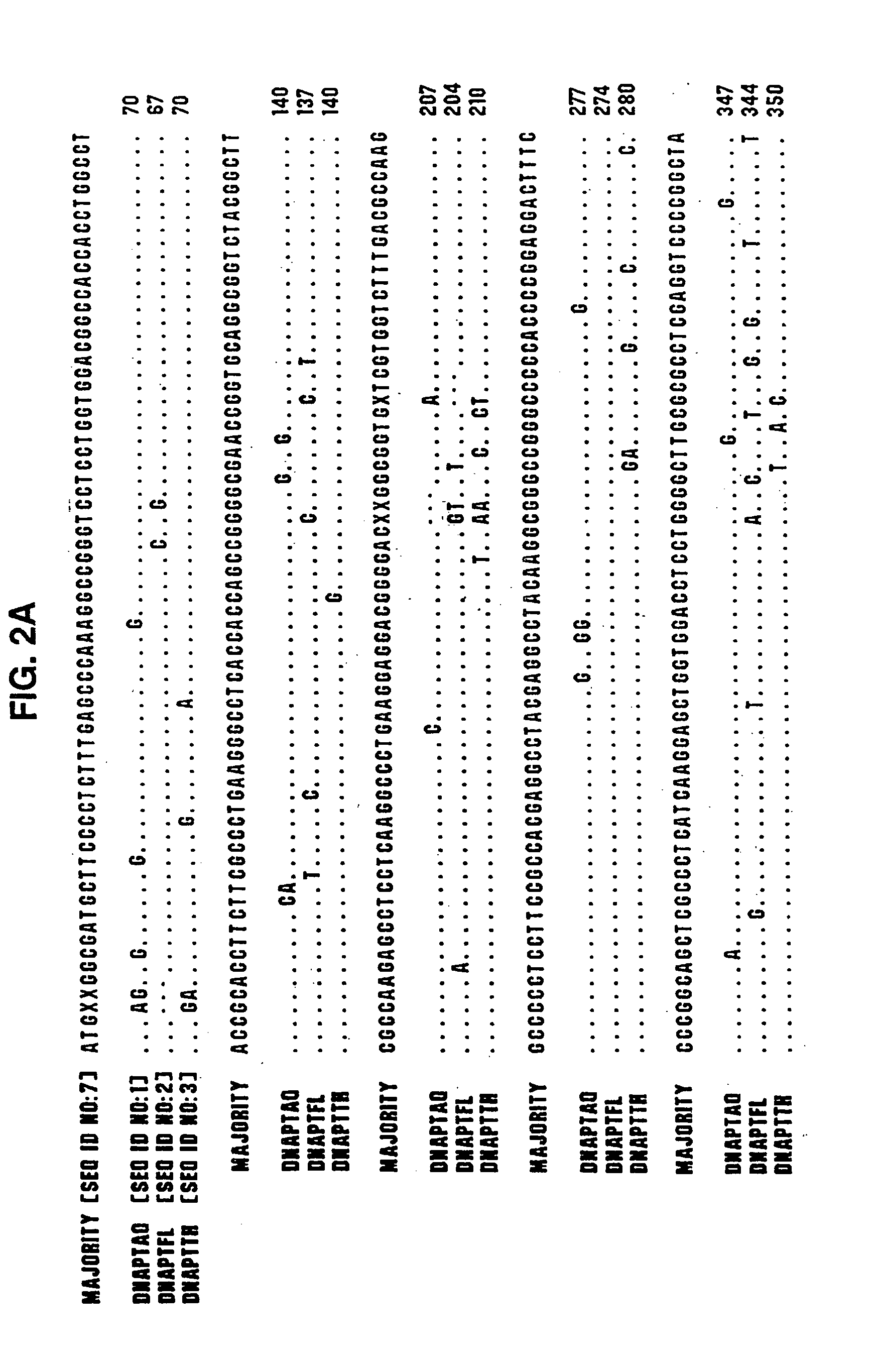 Nucleic acid detection kits