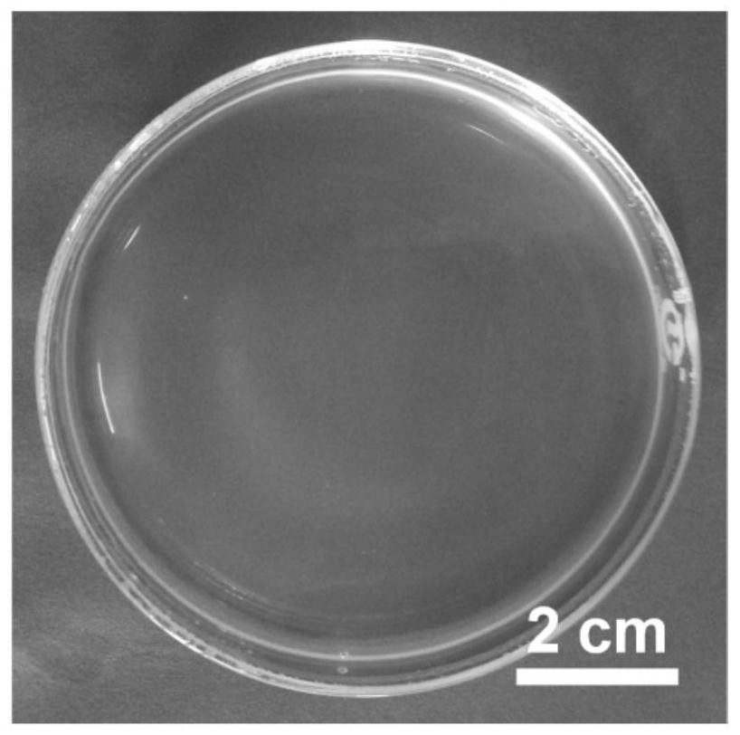 Ultrathin transparent nano/microstructure self-assembled film and its green preparation method