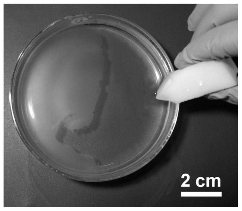 Ultrathin transparent nano/microstructure self-assembled film and its green preparation method