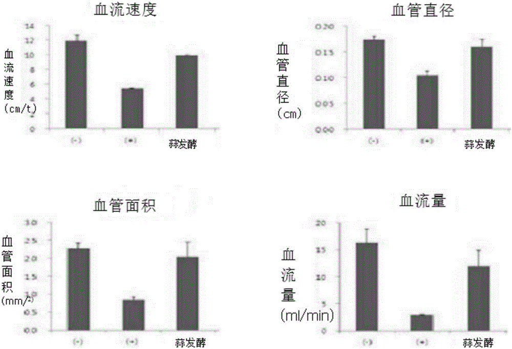 Method for preparing garlic-fermented composition and garlic-fermented composition prepared by same method