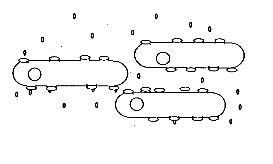 Directed evolution of enzymes and antibodies