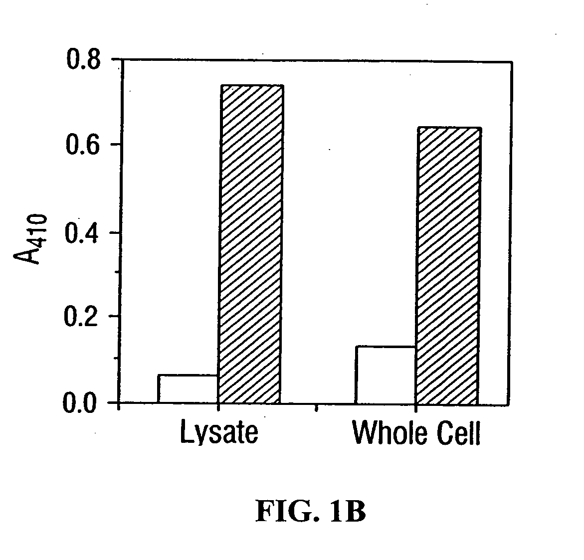 Directed evolution of enzymes and antibodies