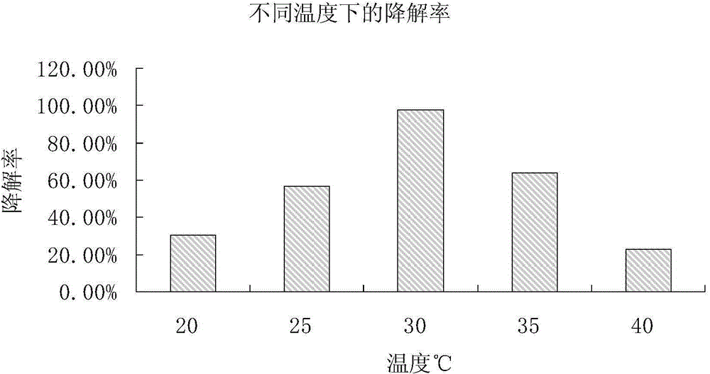 Bacteria BMJHZ-01 for degrading difenoconazole and screening method thereof