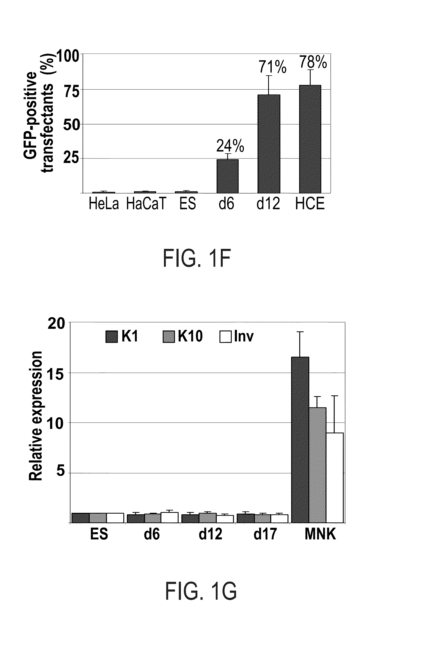 Methods of generating corneal cells and cell populations comprising same