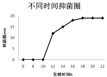 Bacillus cereus J19 as well as induction medium and application thereof