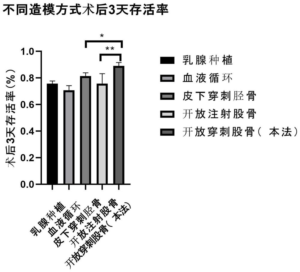 Breast cancer bone metastasis laboratory mouse disease model building method