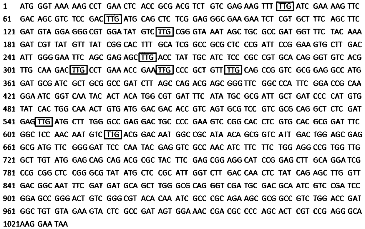 An expression system of the yeast candida amazonensis capable of utilizing xylose