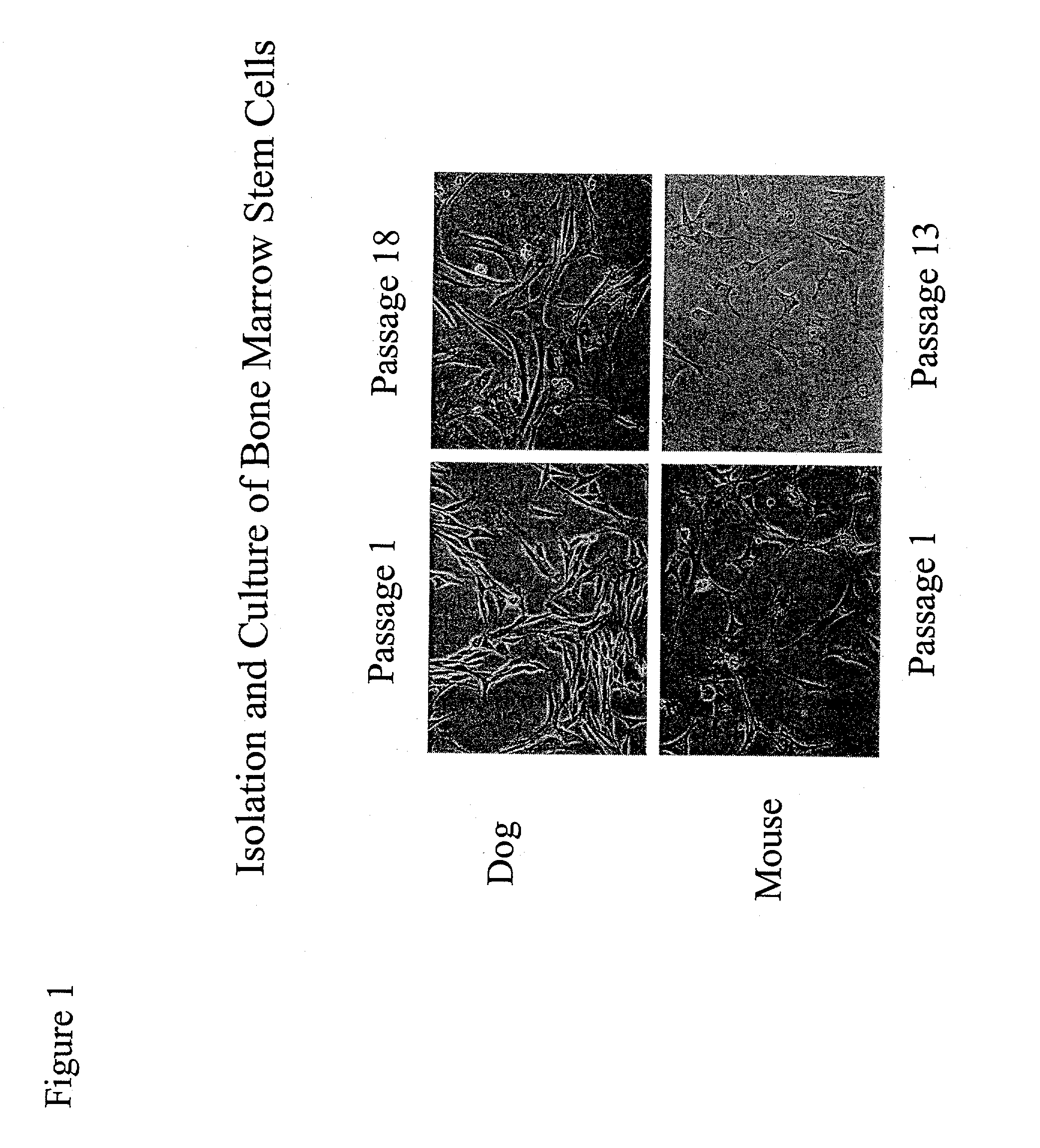 Encapsulated cell indicator system