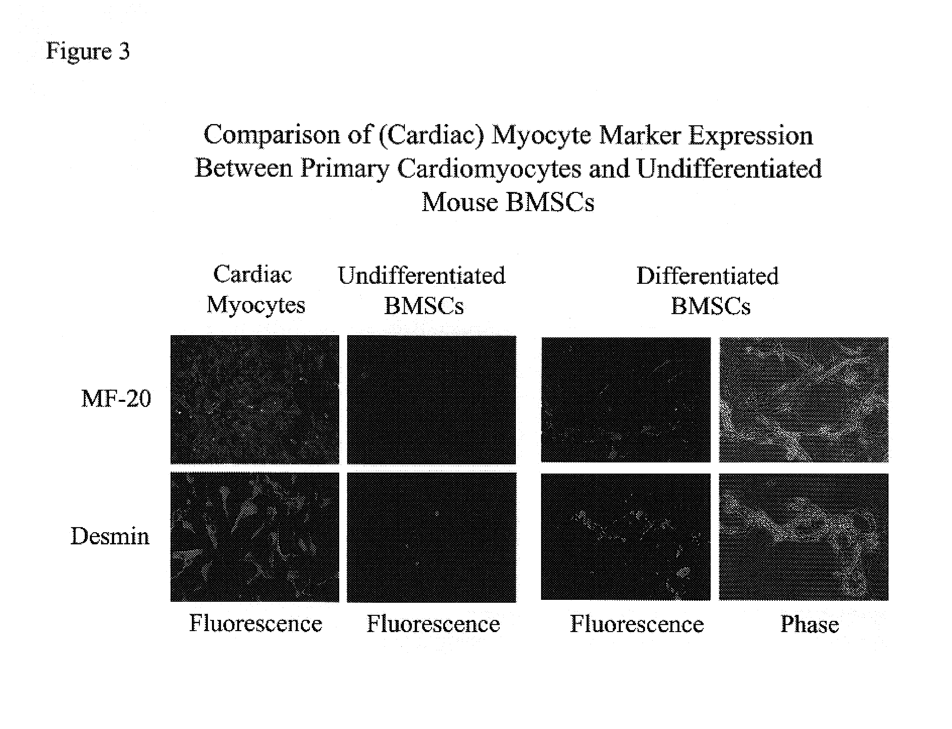 Encapsulated cell indicator system