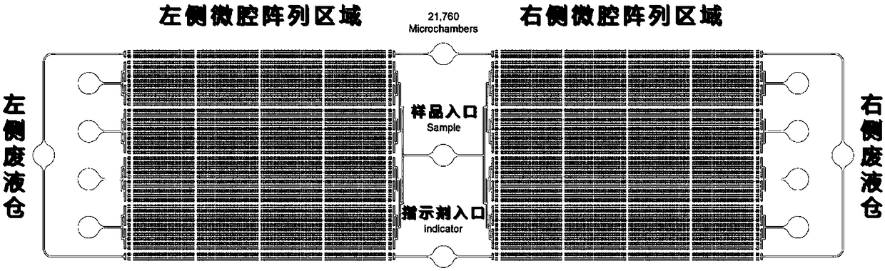 Micro-cavity type multicolor fluorescence digital PCR (Polymerase Chain Reaction) chip and application