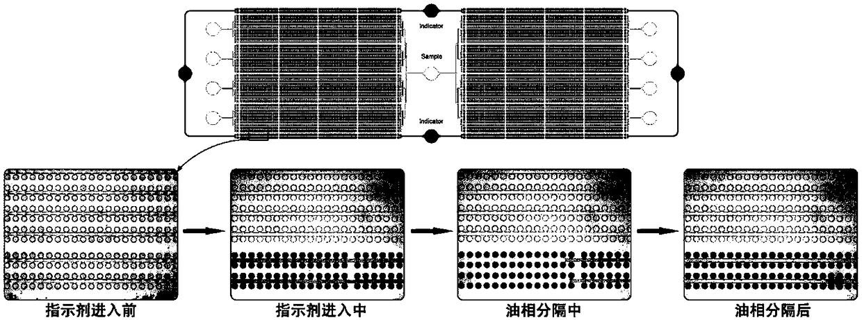 Micro-cavity type multicolor fluorescence digital PCR (Polymerase Chain Reaction) chip and application