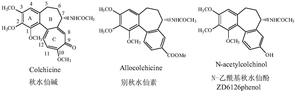 Colchicine Derivatives