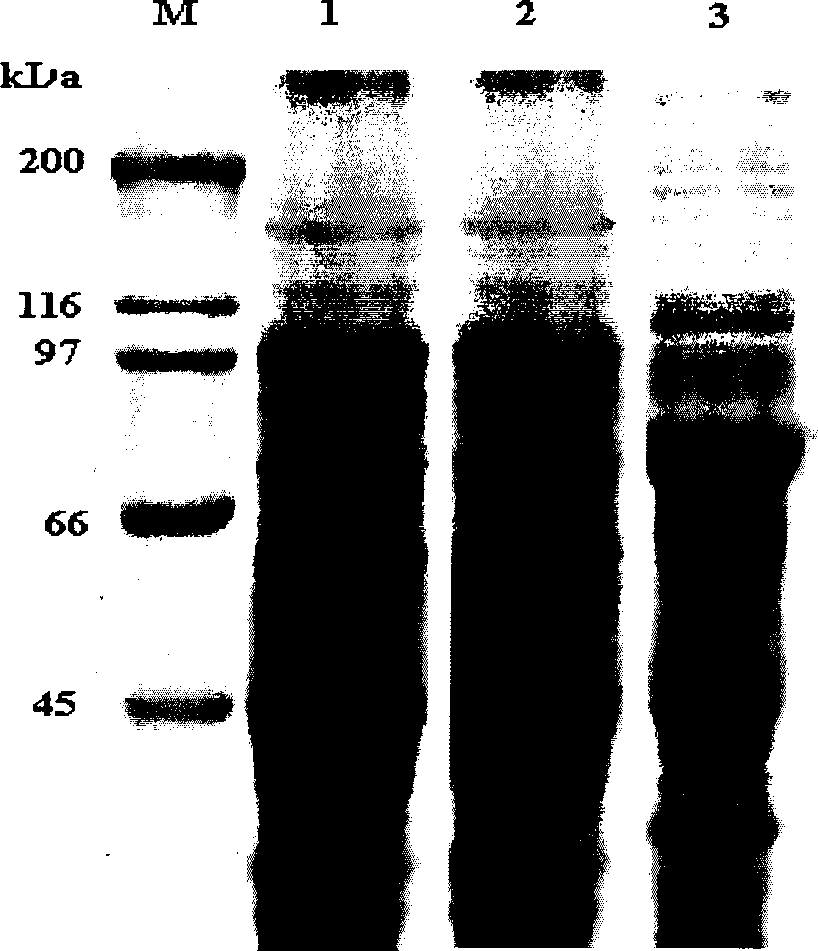 Novel Bt protein Cry30Fa1, coding gene thereof and use