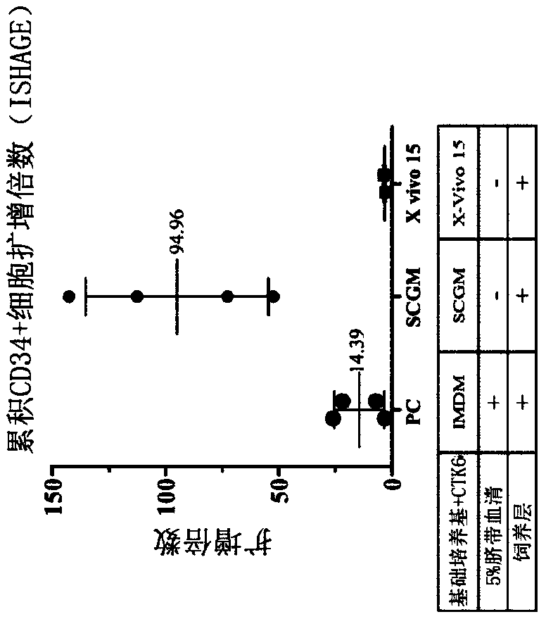 Serum-free medium and method for amplifying hematopoietic stem cells