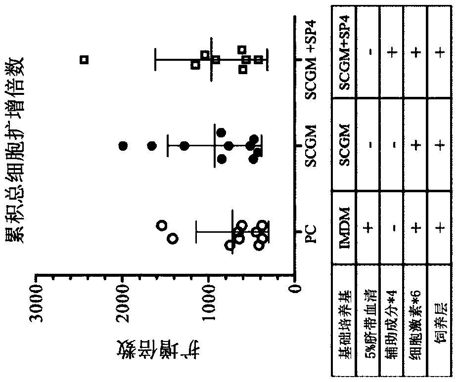 Serum-free medium and method for amplifying hematopoietic stem cells