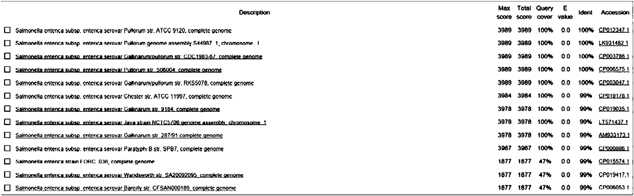 PCR detection kit for rapidly identifying Salmonella Pullorum/Salmonella Gullinarum