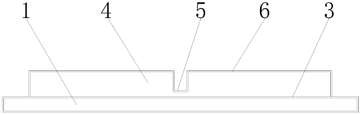 Disc brake pad and disc brake pad manufacturing process