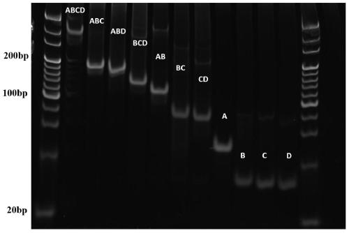 DNA nanostructure-modified microfluidic chip for optical biosensing and preparation and application of DNA nanostructure-modified microfluidic chip