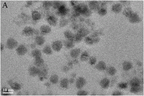 Amino-modified water-soluble fluorescent quantum dot and preparation method thereof