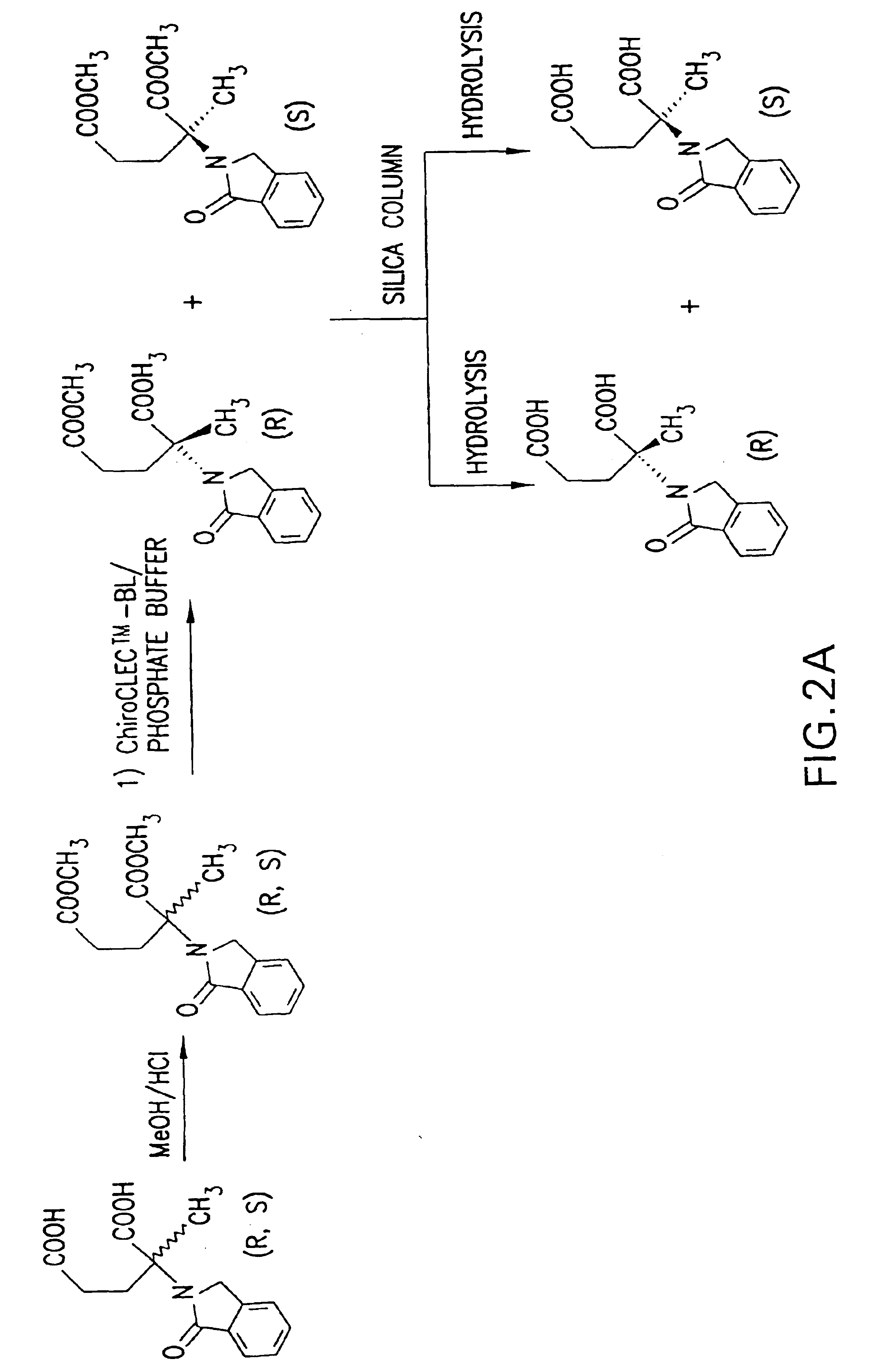 Methods of treating undesired angiogenesis with 2-methyl-EM-138