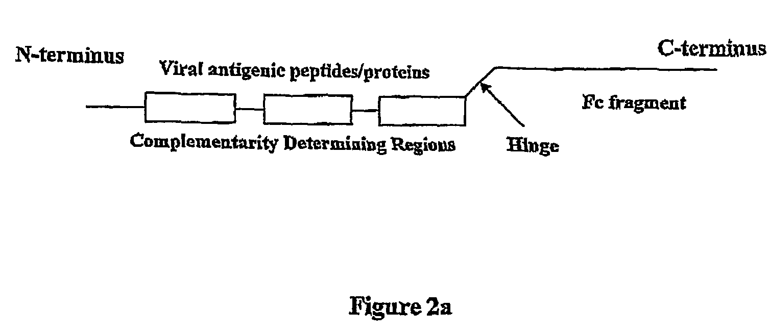 Chimeric antigens for eliciting an immune response