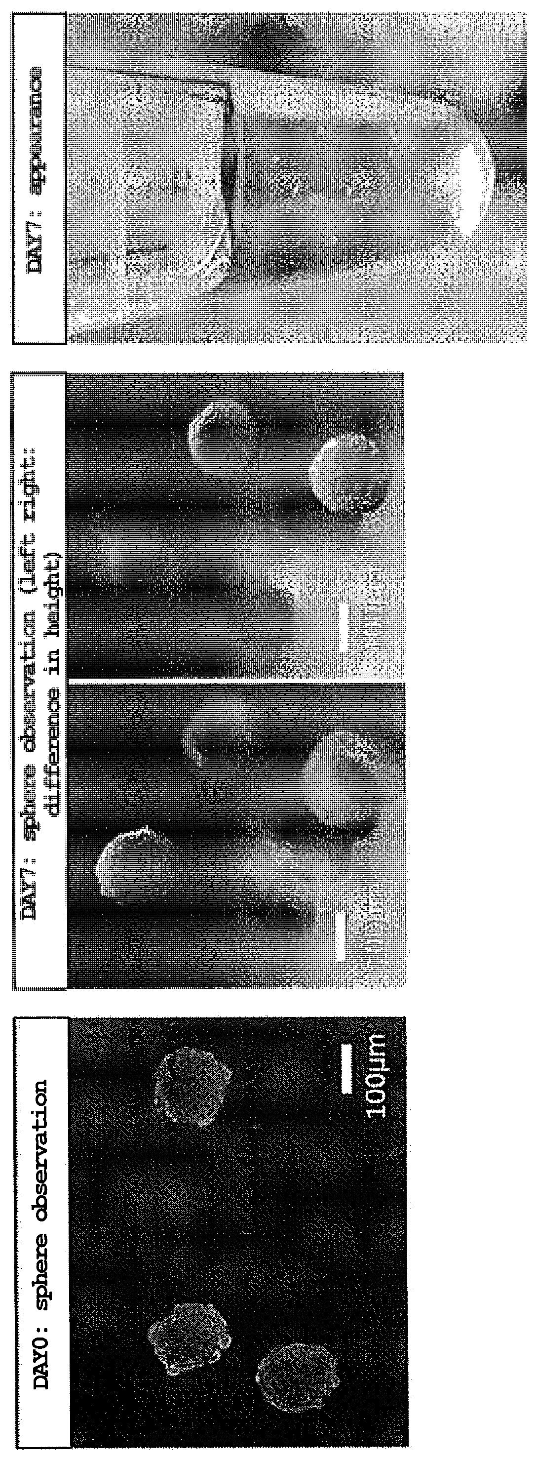 Method for preserving a cell material in an unfrozen state