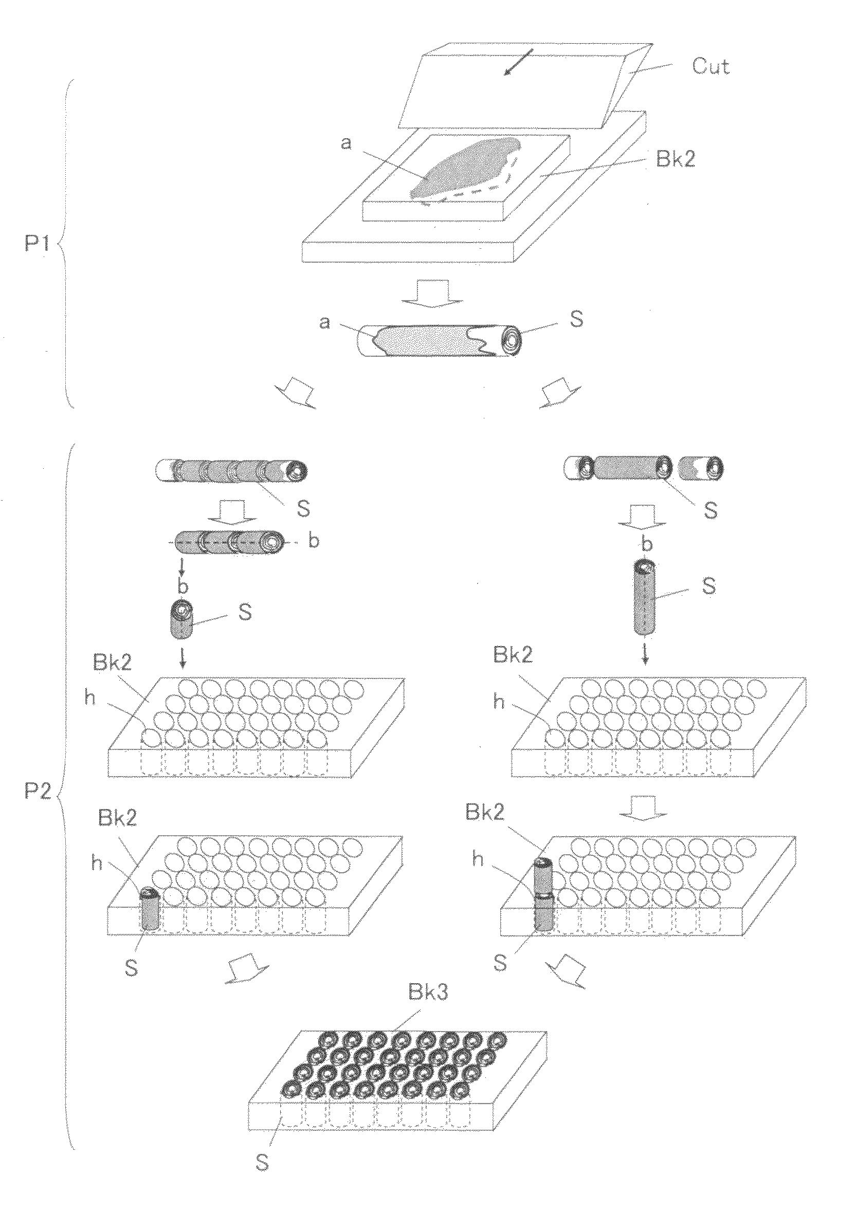 Tissue piece forming device and tissue piece forming method